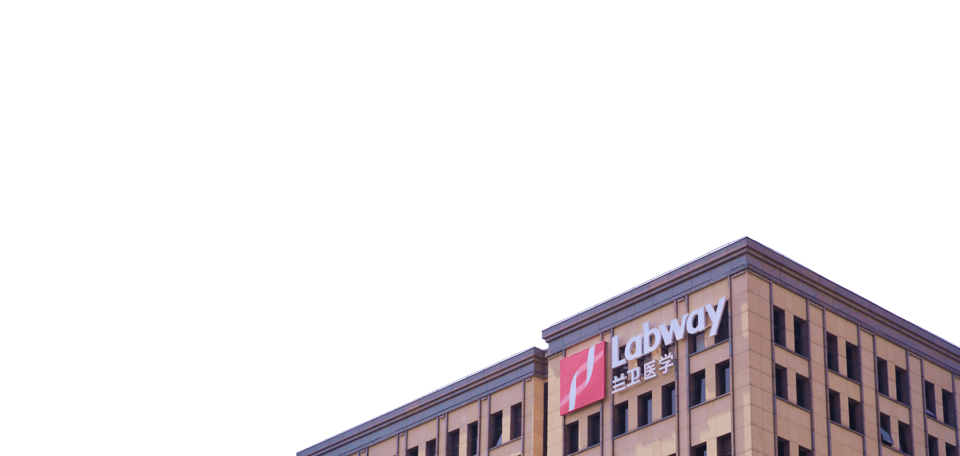 大红鹰dhy(中国)有限公司官网