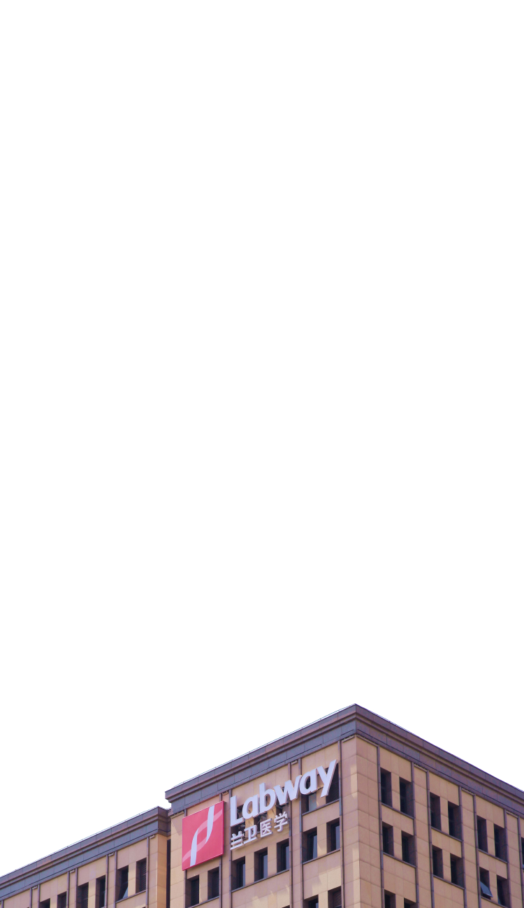 大红鹰dhy(中国)有限公司官网