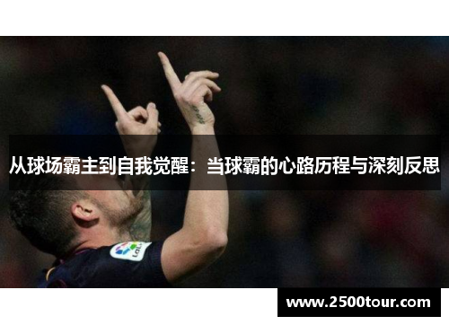 从球场霸主到自我觉醒：当球霸的心路历程与深刻反思